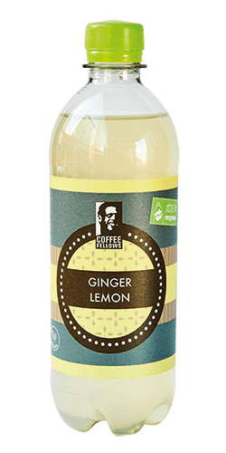 Ginger Lemon (Erfrischungsgetränk mit Ingwer-Zitronen-Geschmack)